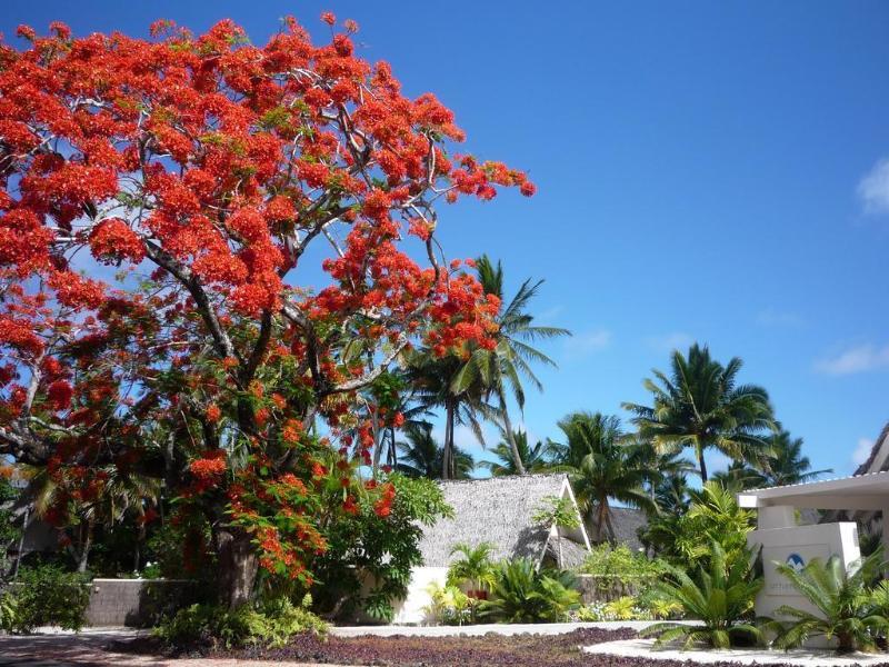Little Polynesian Resort Rarotonga Exterior foto